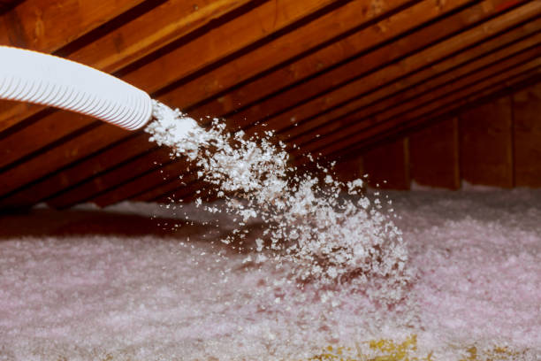 Trusted Silver Bay, MN Insulation Contractor Experts