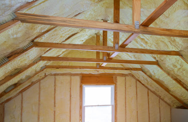 Best Attic Insulation Installation  in Silver Bay, MN