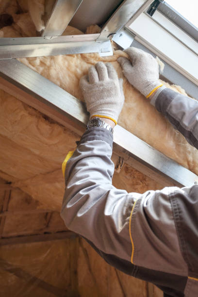 Best Soundproof Insulation Installation  in Silver Bay, MN